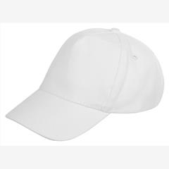 Бейсболка «Florida 350» 5-панельная