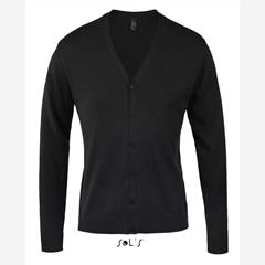 Джемпер GOLDEN мужской