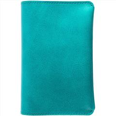 Обложка для паспорта Apache, ver.2