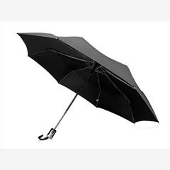 Зонт Alex трехсекционный автоматический 21,5